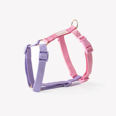 Lavender and Pink - Dog Harness Strap Harness FURLOU