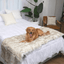 PupProtector™ Waterproof Bed Runner - White with Brown Accents Dog Blanket Paw.com