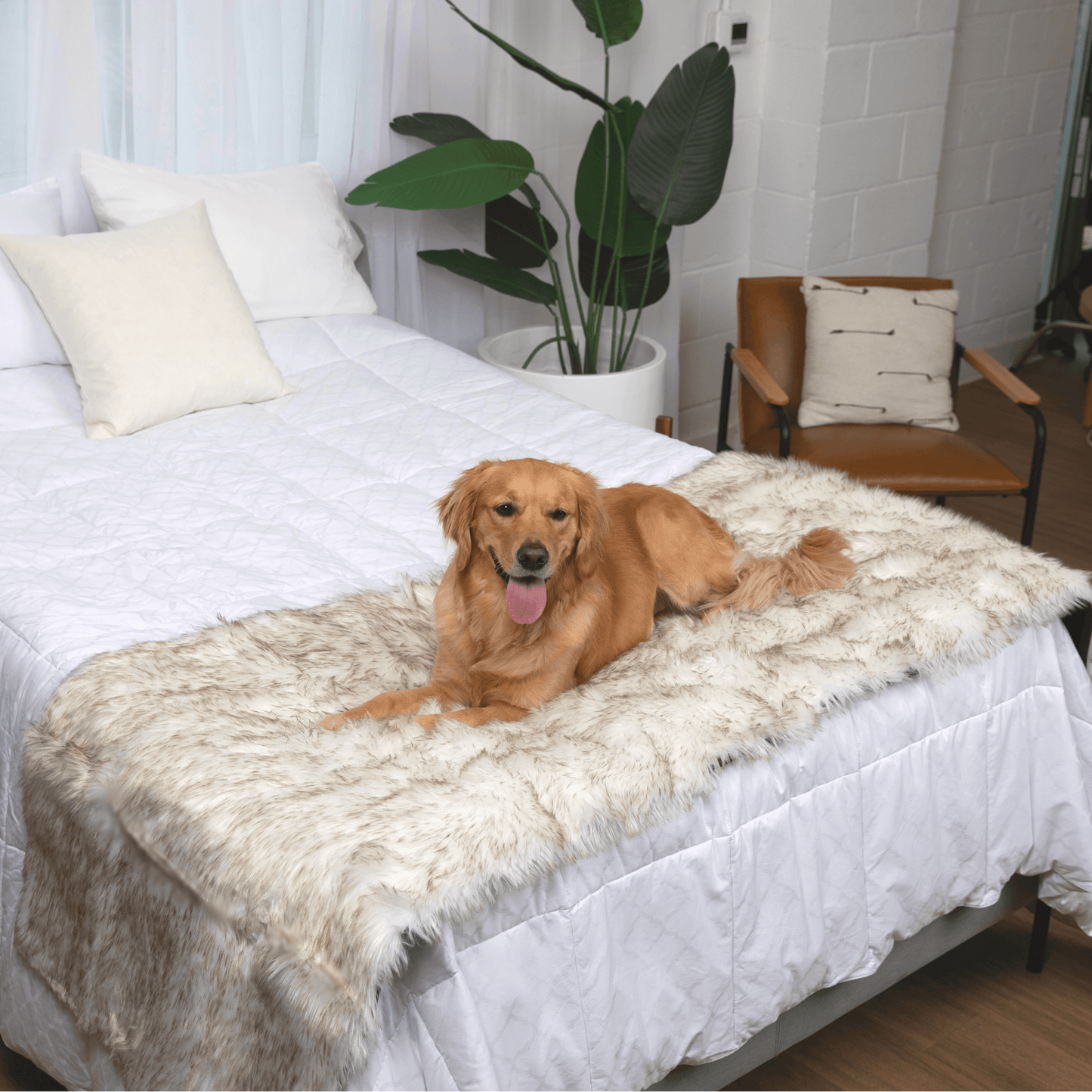 PupProtector™ Waterproof Bed Runner - White with Brown Accents Dog Blanket Paw.com