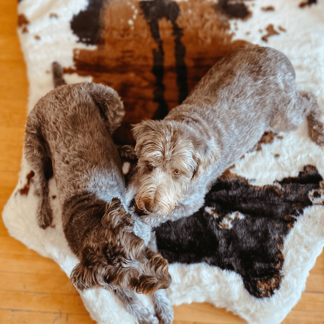 PupRug® Animal Print Memory Foam Dog Bed - Brown Faux Cowhide Dog Beds Paw.com