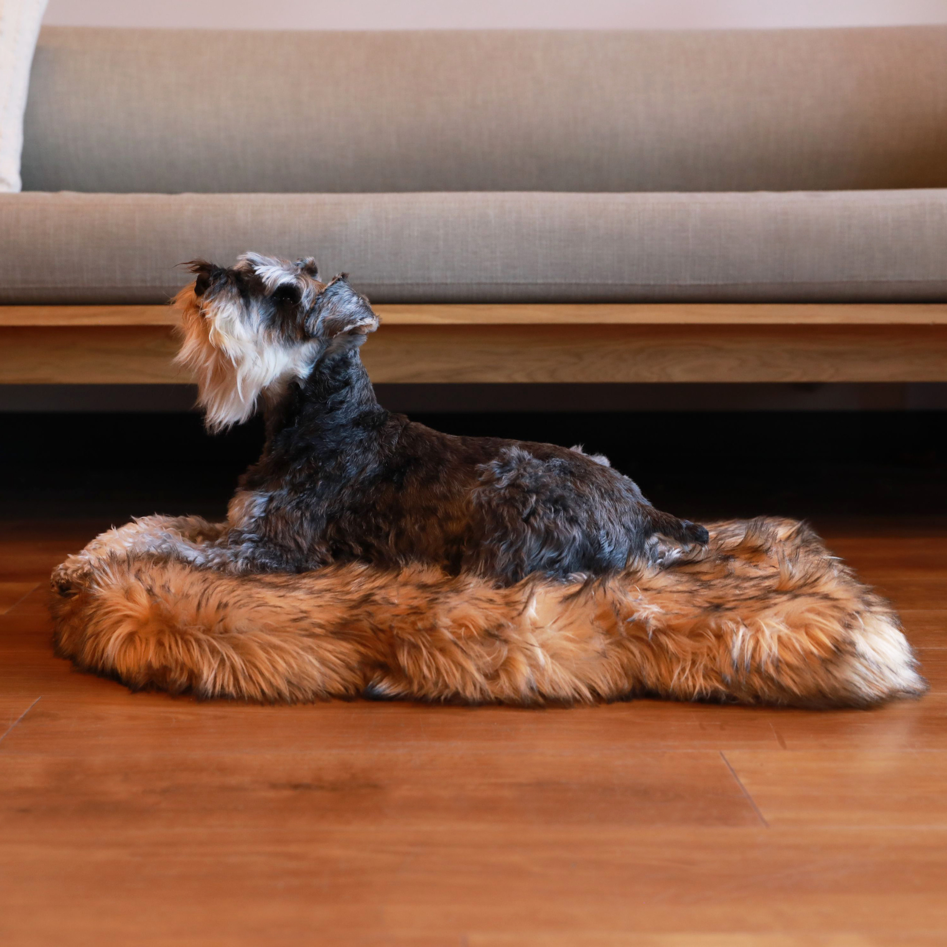 PupRug by Paw.com® Faux Fur Orthopedic Dog Bed - Curve Sable Tan Dog Beds Paw