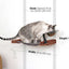 Dog Proof Cat Feeder - Wall-Mounted - Raised Elevated English Chestnut Bamboo Charcoal Gray Canvas 16" Cat Hammock Catastrophic Creations