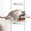 Dog Proof Cat Feeder - Wall-Mounted - Raised Elevated English Chestnut Bamboo Natural Canvas 16" Cat Hammock Catastrophic Creations