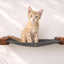 Hanging Cat Bed Hammock English Chestnut Bamboo Charcoal Gray Canvas 18" Cat Hammock Catastrophic Creations
