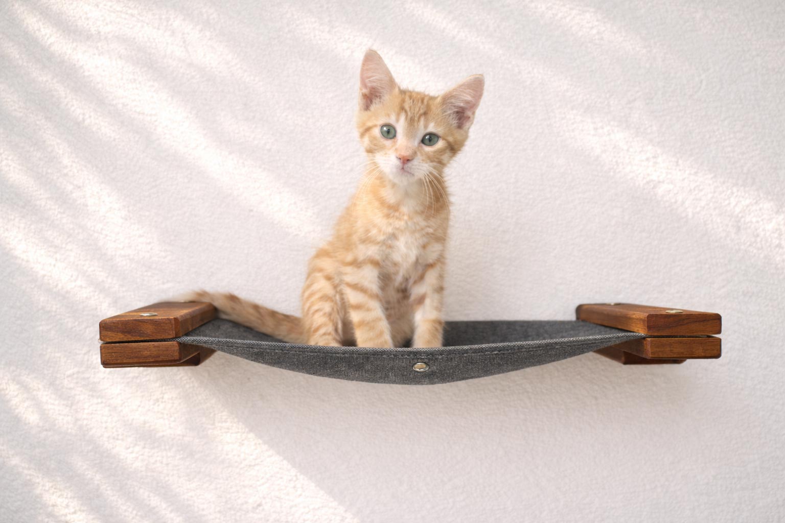 Hanging Cat Bed Hammock English Chestnut Bamboo Charcoal Gray Canvas 18" Cat Hammock Catastrophic Creations