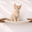 Hanging Cat Bed Hammock Cat Hammock Catastrophic Creations