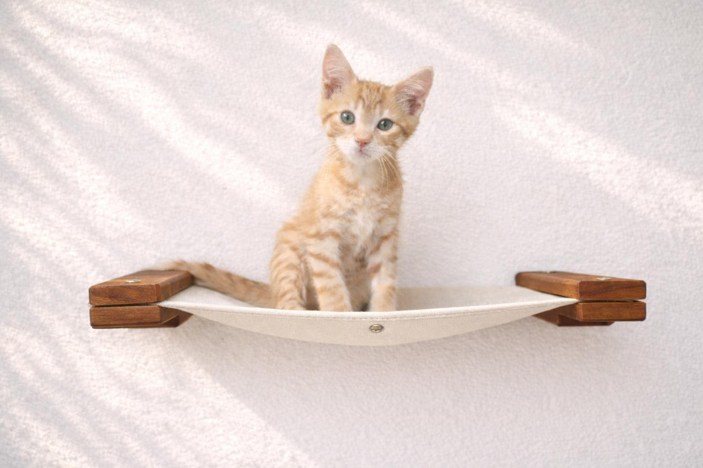 Hanging Cat Bed Hammock Cat Hammock Catastrophic Creations
