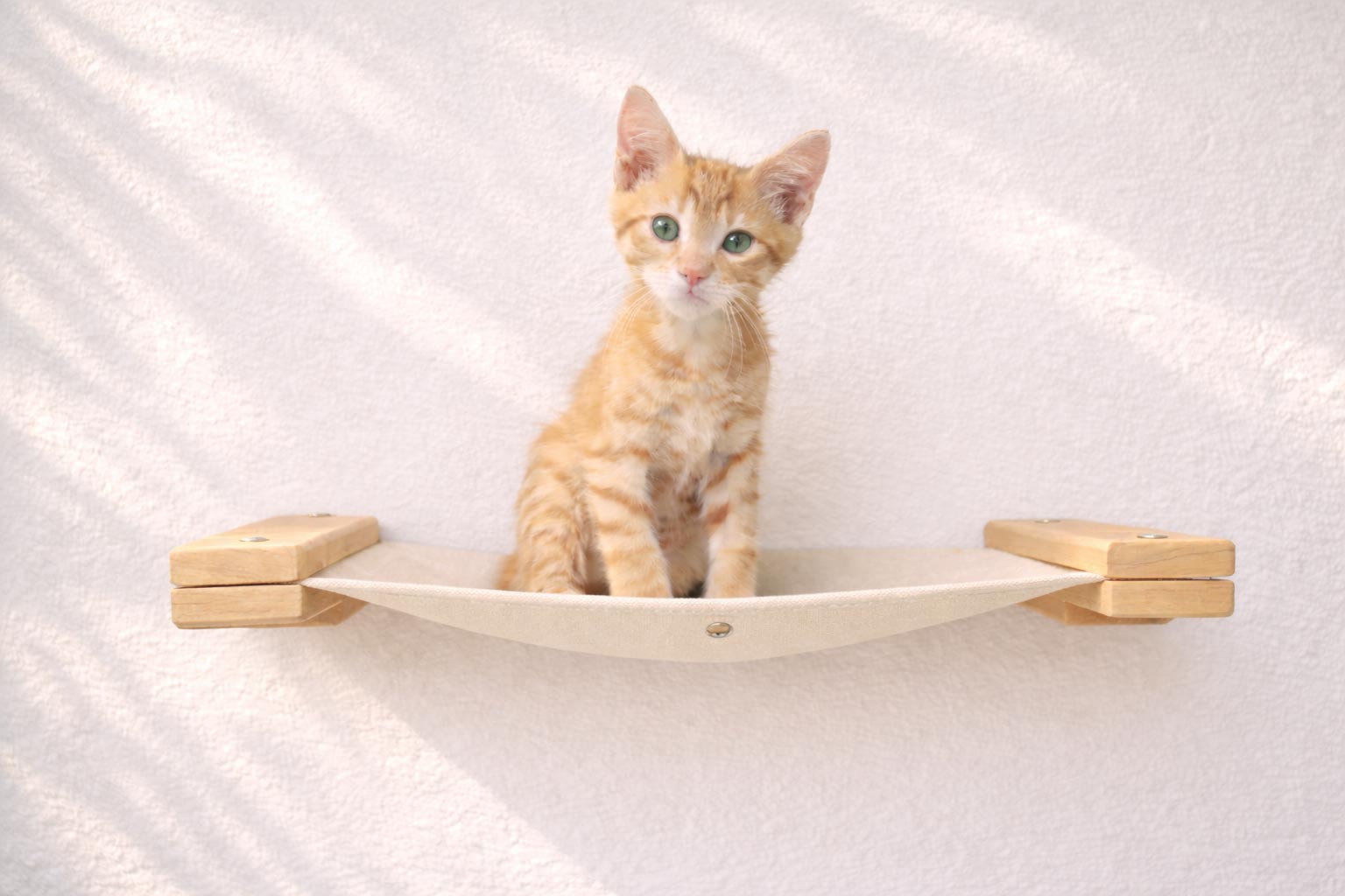 Hanging Cat Bed Hammock Natural Bamboo Natural Canvas 18" Cat Hammock Catastrophic Creations