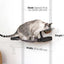 Dog Proof Cat Feeder - Wall-Mounted - Raised Elevated Onyx Bamboo Charcoal Gray Canvas 16" Cat Hammock Catastrophic Creations