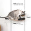 Dog Proof Cat Feeder - Wall-Mounted - Raised Elevated Onyx Bamboo Natural Canvas 16" Cat Hammock Catastrophic Creations