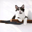 Hanging Cat Bed Hammock Cat Hammock Catastrophic Creations