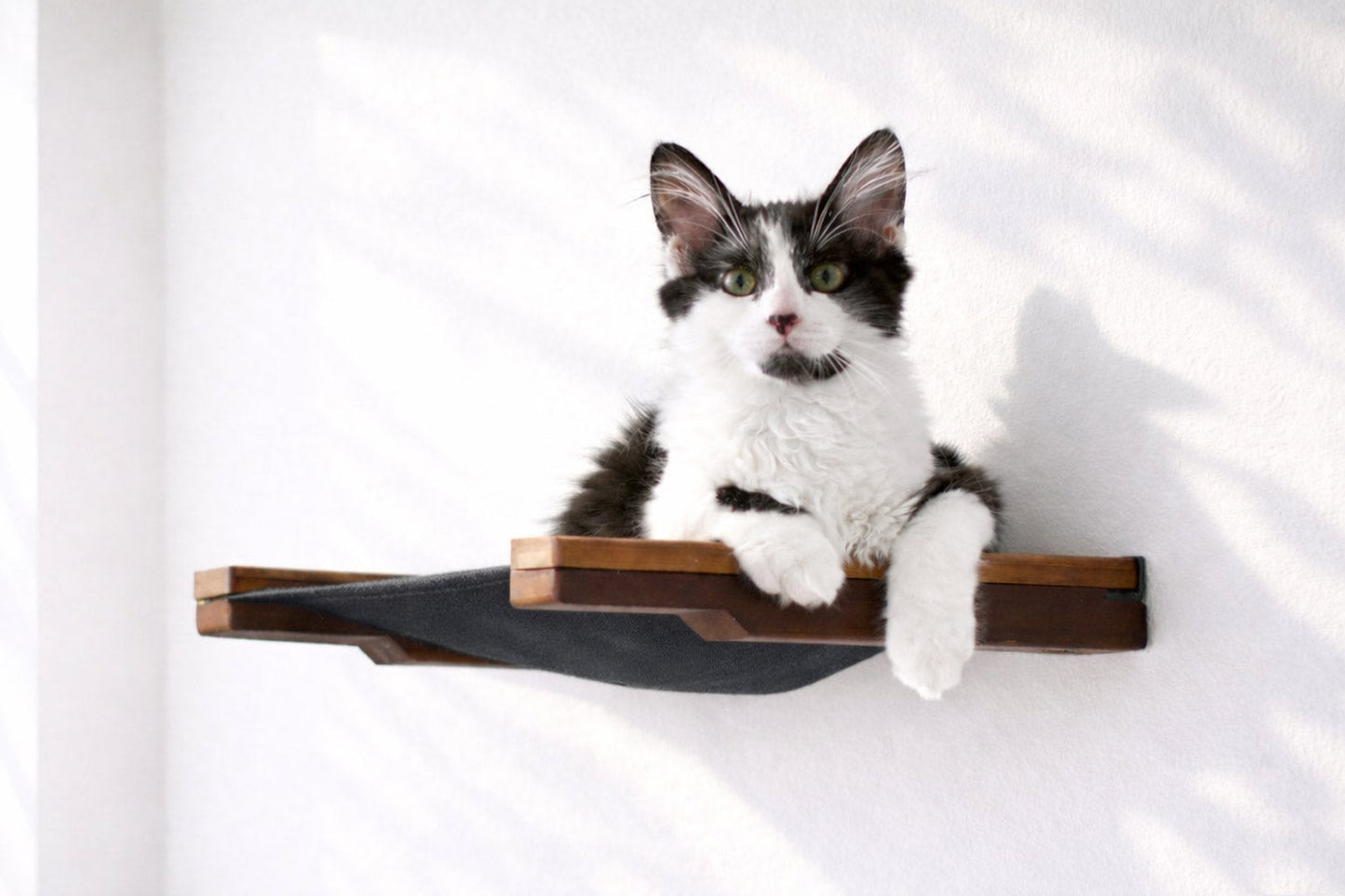 Hanging Cat Bed Hammock Cat Hammock Catastrophic Creations