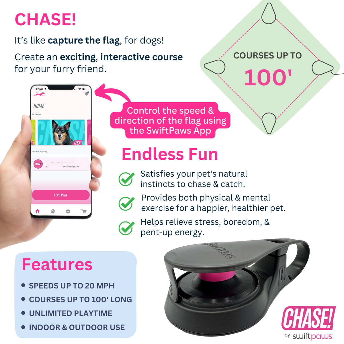 CHASE! Kit Enrichment Product SwiftPaws