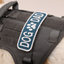 Dog Dad Patch Patch K9 Sport Sack
