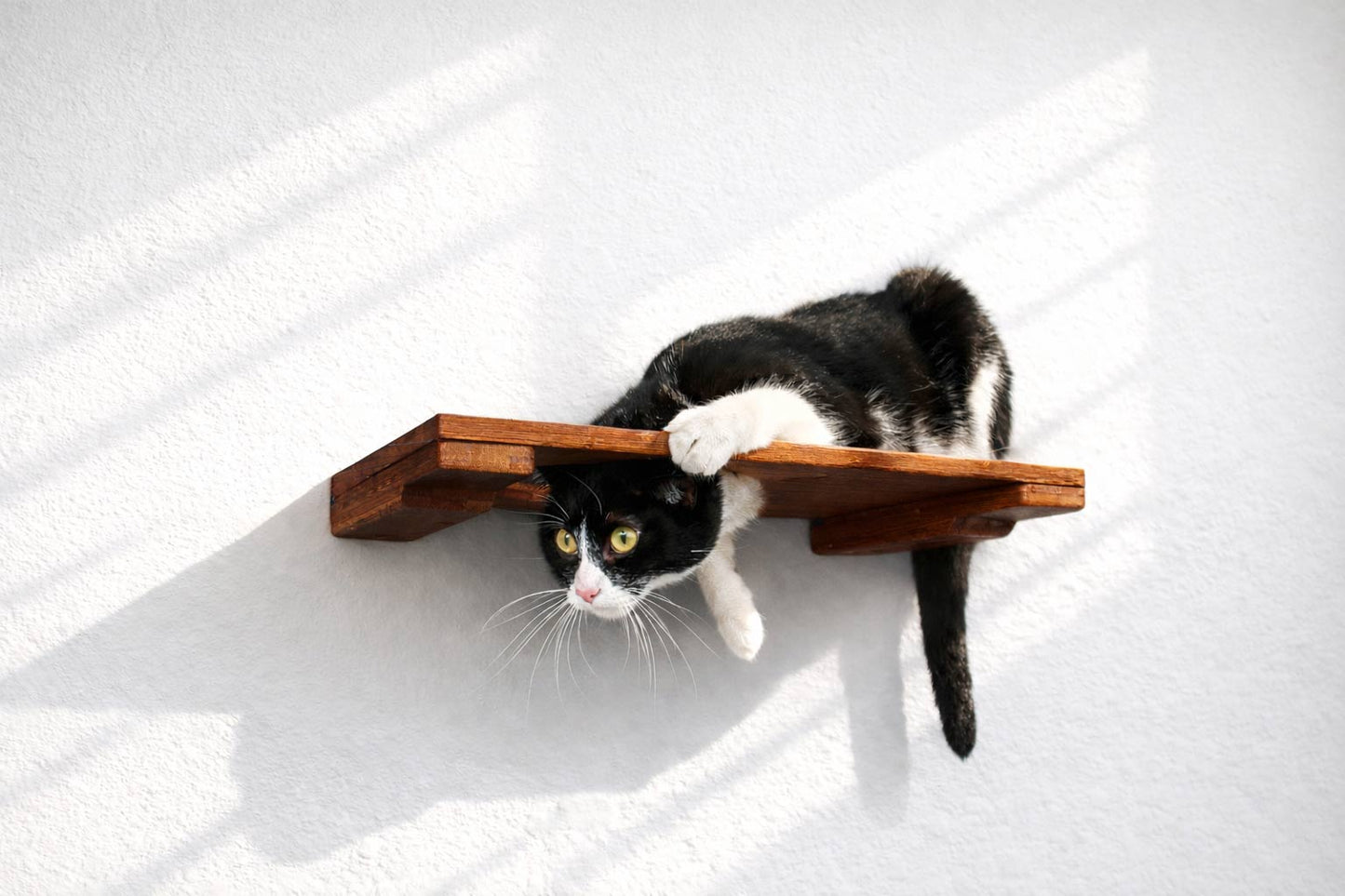Wall Mounted Cat Shelf English Chestnut Bamboo 18" Escape Hatch Cat shelves/bed Catastrophic Creations