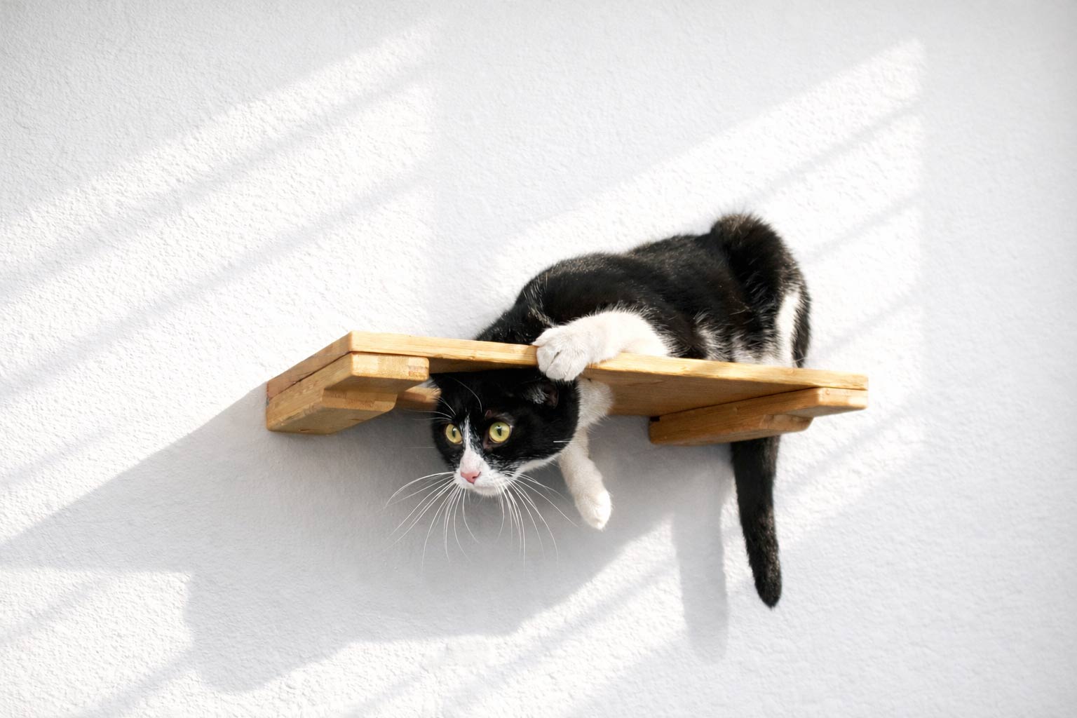 Wall Mounted Cat Shelf Natural Bamboo 18" Escape Hatch Cat shelves/bed Catastrophic Creations