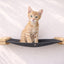 Hanging Cat Bed Hammock Natural Bamboo Charcoal Gray Canvas 18" Cat Hammock Catastrophic Creations