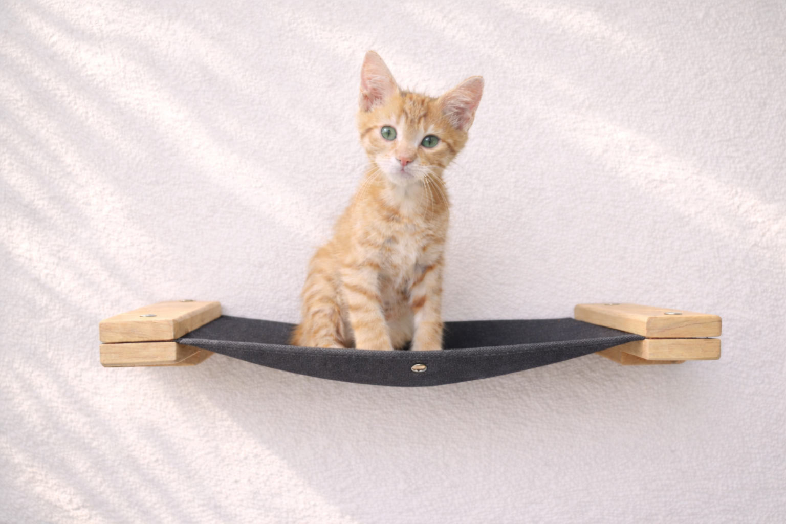 Hanging Cat Bed Hammock Natural Bamboo Charcoal Gray Canvas 18" Cat Hammock Catastrophic Creations