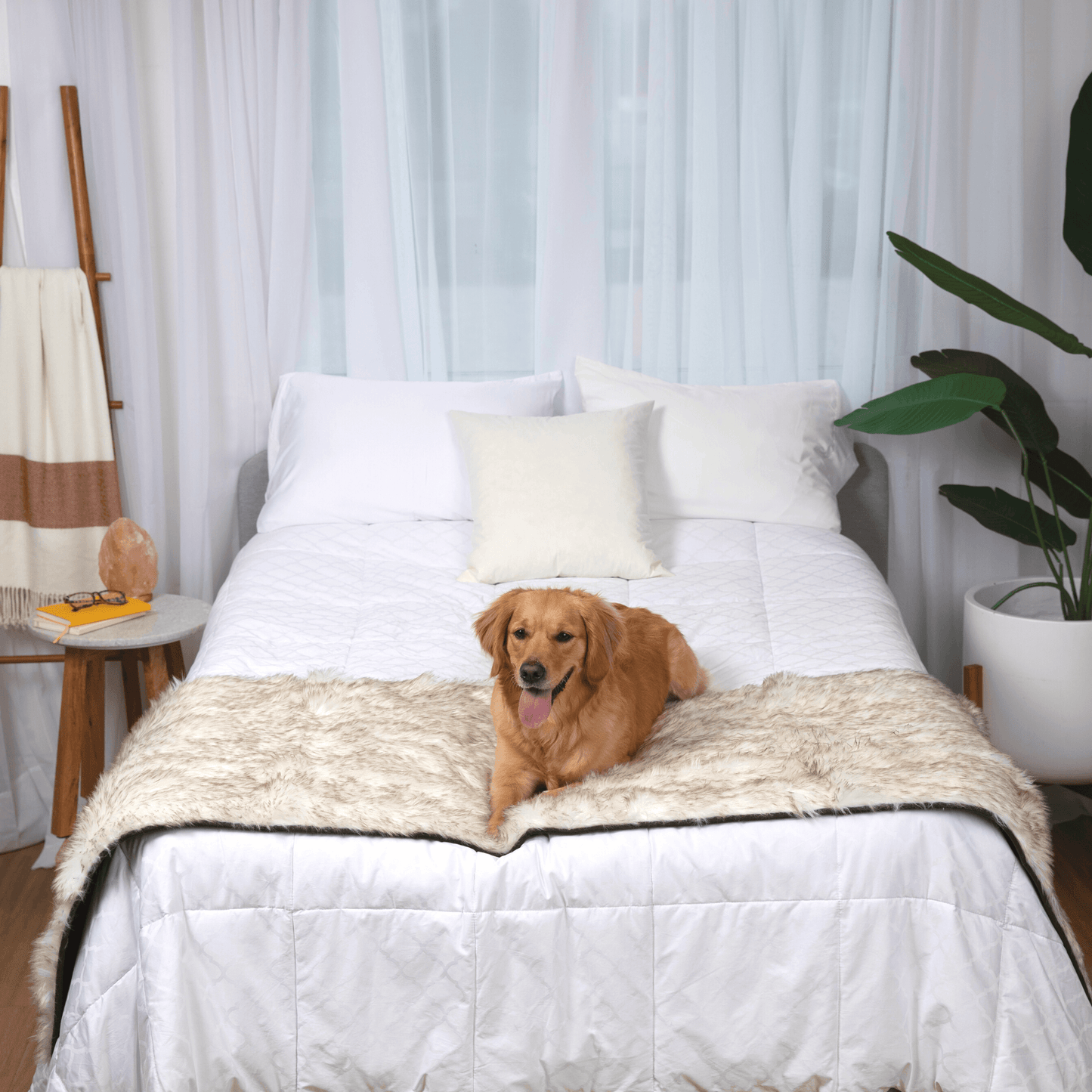 PupProtector™ Waterproof Bed Runner - White with Brown Accents Dog Blanket Paw.com