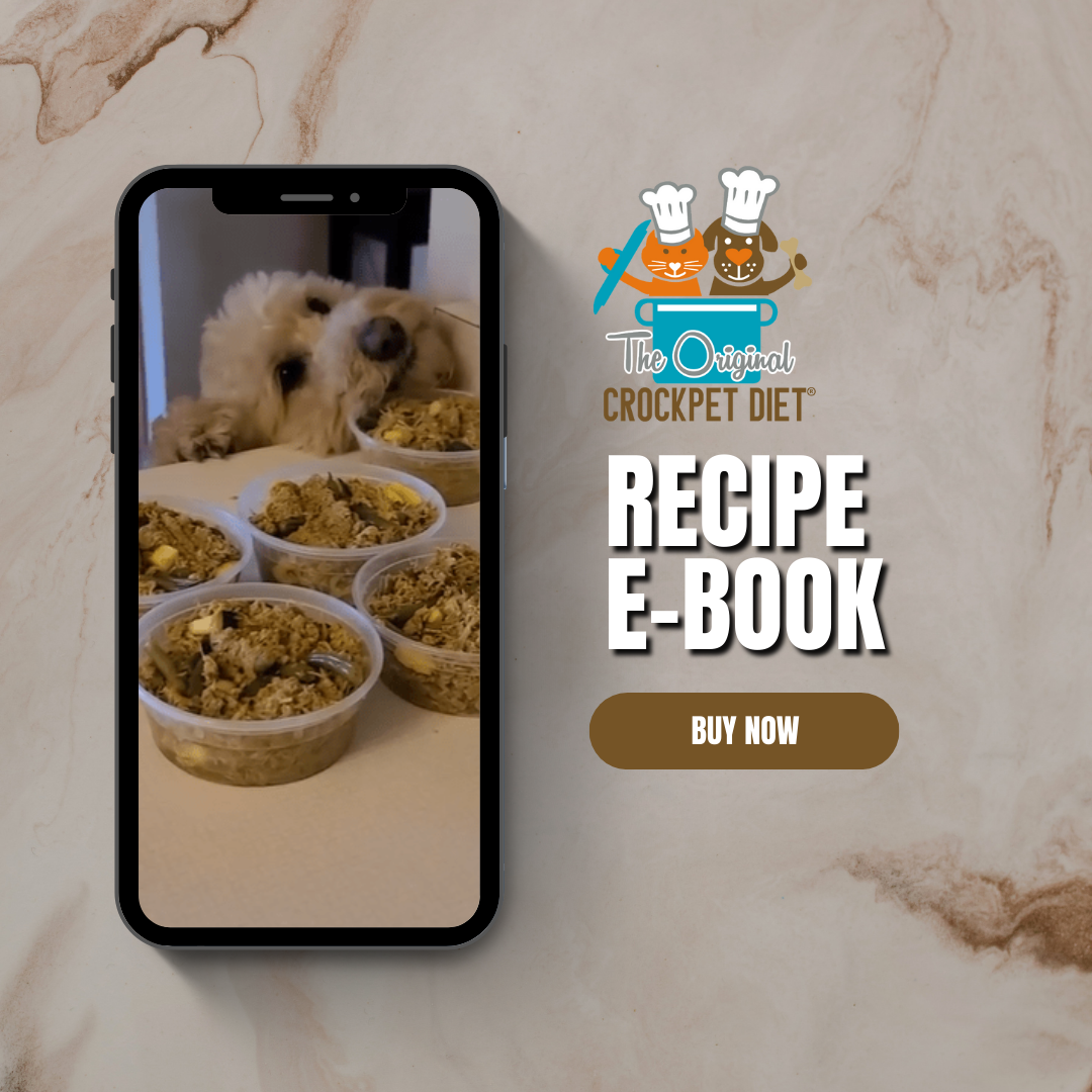 The Original Crockpet Diet™ Ebook and Recipes DIY Holistic Health Course Dr. Ruth Roberts