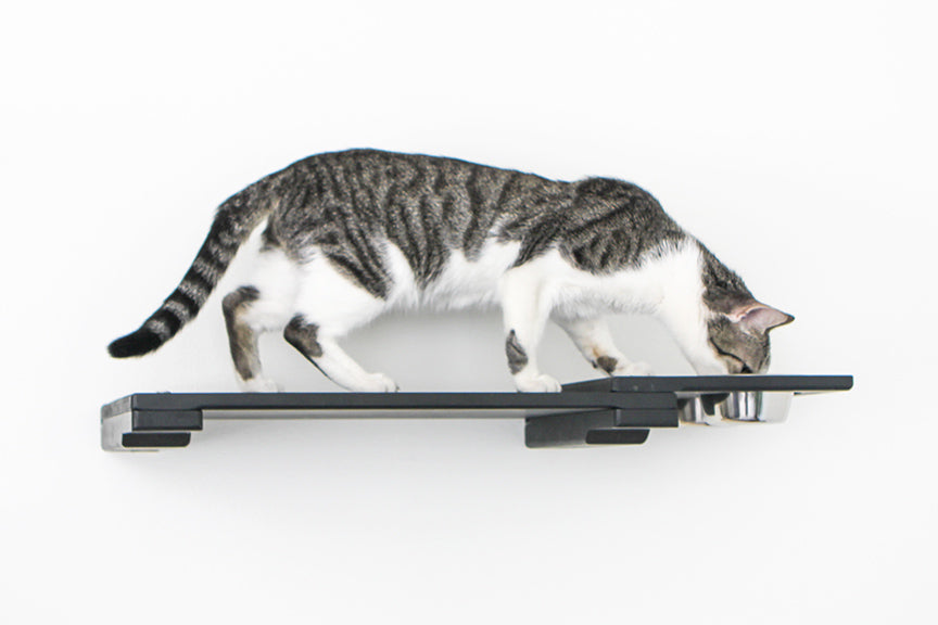 Wall Mounted Cat Feeding Shelf Cat shelves/bed Catastrophic Creations