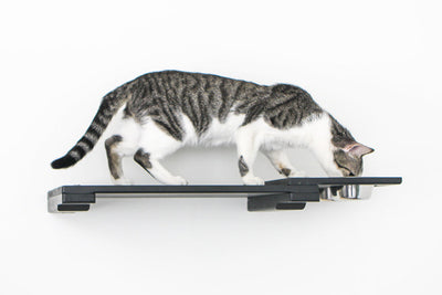 Wall Mounted Cat Feeding Shelf Cat shelves/bed Catastrophic Creations