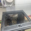 Custom Replacement Top for 12" Exo Terra Terrariums – Humidity Retaining with Fly-Proof Ventilation Thrive Ecosystems