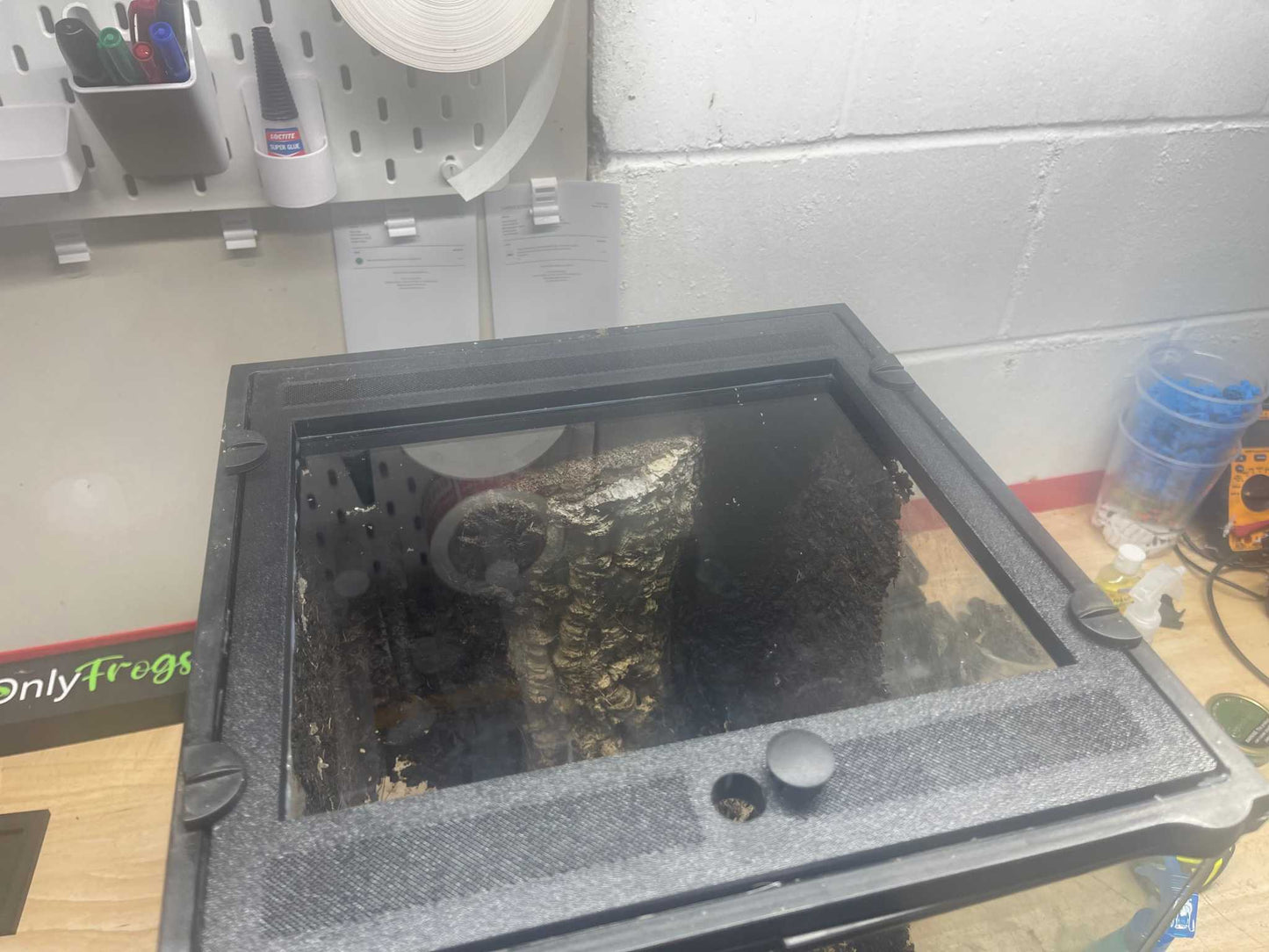 Custom Replacement Top for 12" Exo Terra Terrariums – Humidity Retaining with Fly-Proof Ventilation Thrive Ecosystems