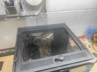 Custom Replacement Top for 12" Exo Terra Terrariums – Humidity Retaining with Fly-Proof Ventilation Thrive Ecosystems