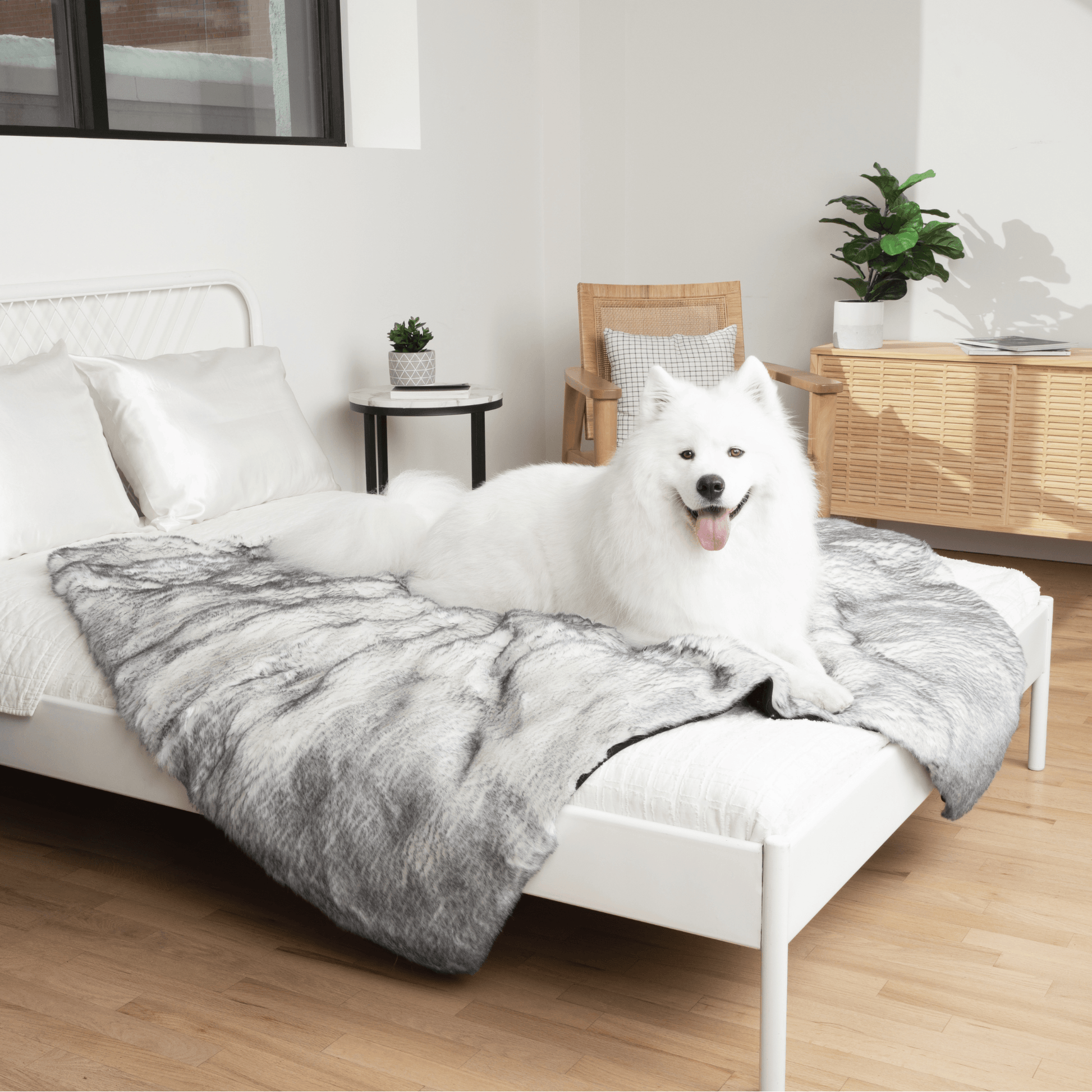 PupProtector™ Luxe Waterproof Faux Fur Blanket - Ultra Plush Arctic Fox Original (60"L x 50"W) Dog Blanket Paw