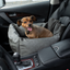 PupProtector™ Faux Cool-to-Touch Vegan Leather Memory Foam Dog Car Bed - Slate Gray Travel Paw.com