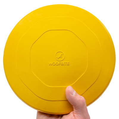 Launch Disc™ Monster K9 Dog Toys