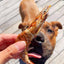 Shrimp Naked Beasts