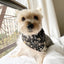 'Avery' Reversible Pet Bandana BANDANA BESPOKE PAWS