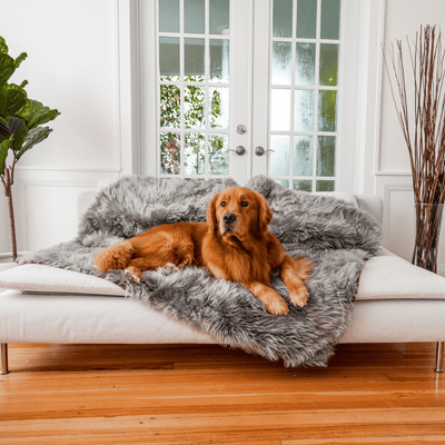 PupProtector™ Waterproof Throw Blanket - Charcoal Grey Original (60"L x 50"W) Dog Blanket Paw.com