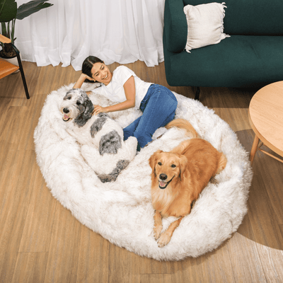 PupCloud™ Human-Size Faux Fur Memory Foam Dog Bed - White with Brown Accents Paw