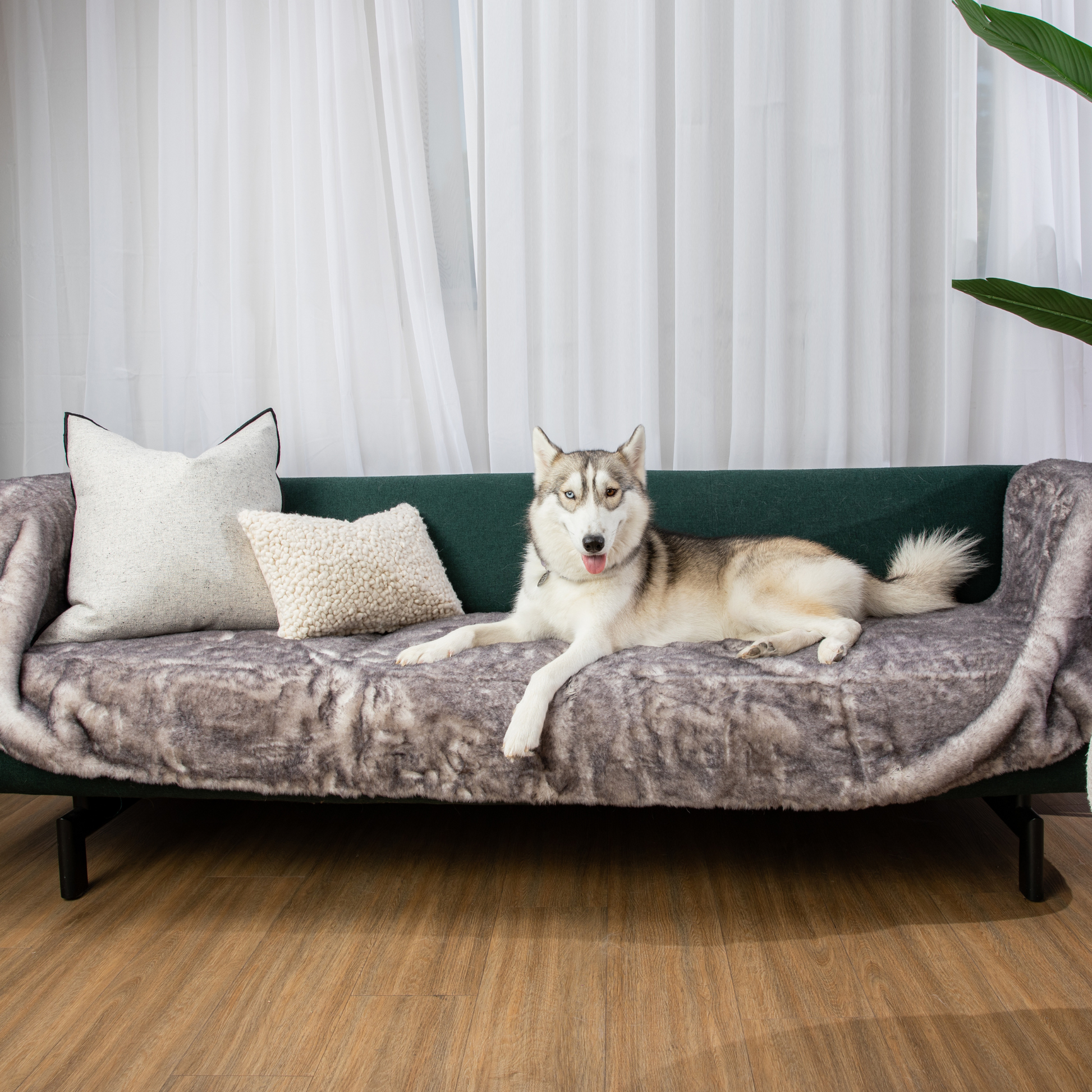 PupProtector™ Luxe Waterproof Bed Runner - Ultra Soft Chinchilla Dog Blanket Paw.com
