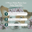 Hista Paws – with Quercetin for Dogs and Cats Vitamins & Supplements Dr. Ruth Roberts