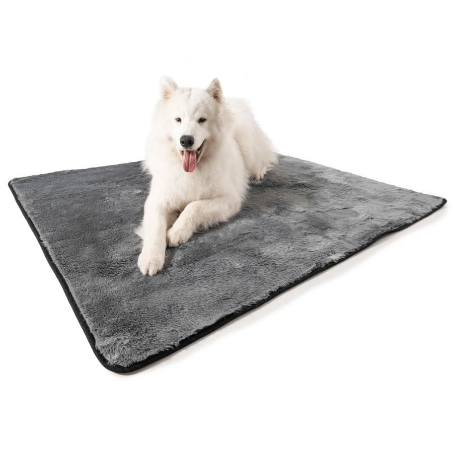 PupProtector™ Summer Short Fur Waterproof Throw Blanket - Charcoal Grey Dog Blanket Paw.com