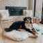 PupRug by Paw.com® Faux Fur Orthopedic Dog Bed - Curve Polar White Dog Beds Paw