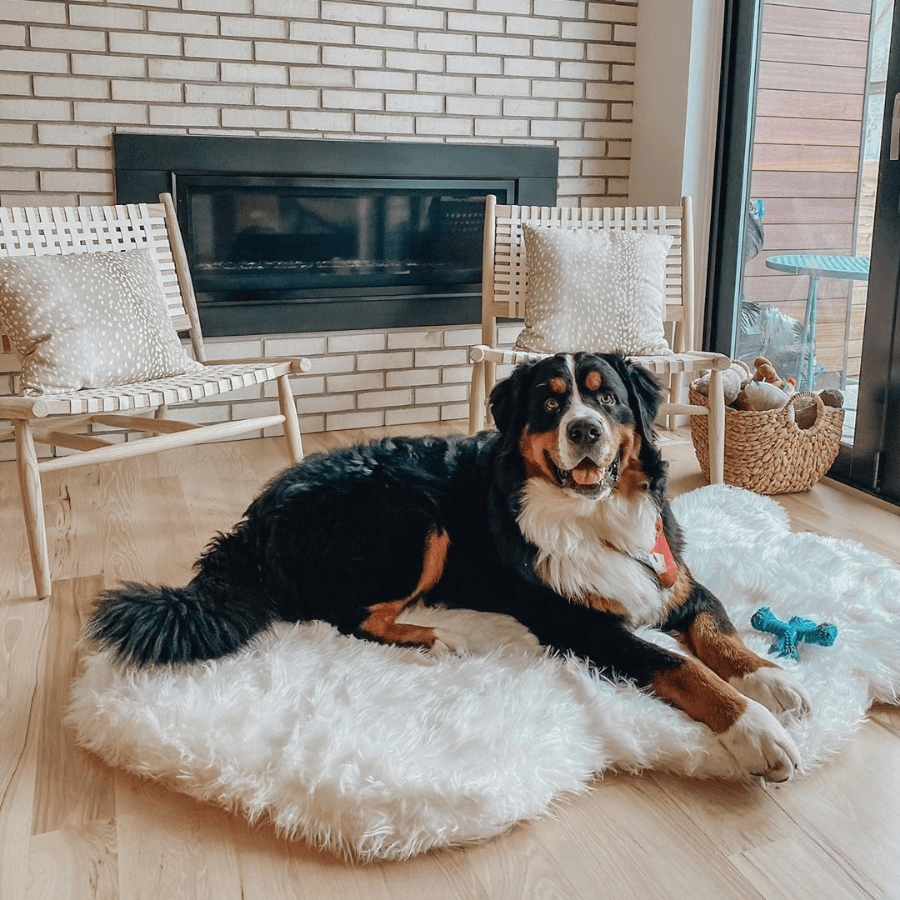PupRug by Paw.com® Faux Fur Orthopedic Dog Bed - Curve Polar White Dog Beds Paw