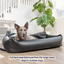 PupProtector™ Faux Cool-to-Touch Vegan Leather Memory Foam Dog Car Bed - Black Travel Paw.com
