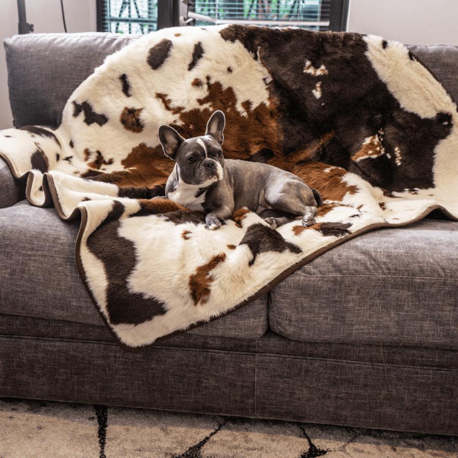 PupProtector™ Waterproof Throw Blanket - Brown Faux Cowhide Original (60"L x 50"W) Dog Blanket Paw.com