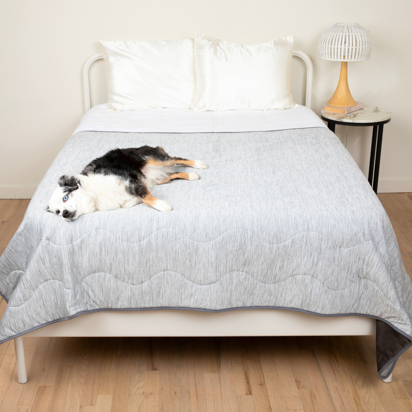 PupChill™ Cooling Waterproof Blanket - Arctic Grey Paw.com