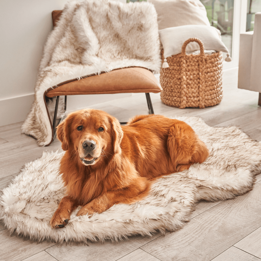 PupRug by Paw.com® Faux Fur Orthopedic Dog Bed - Curve White with Brown Accents Dog Beds Paw.com