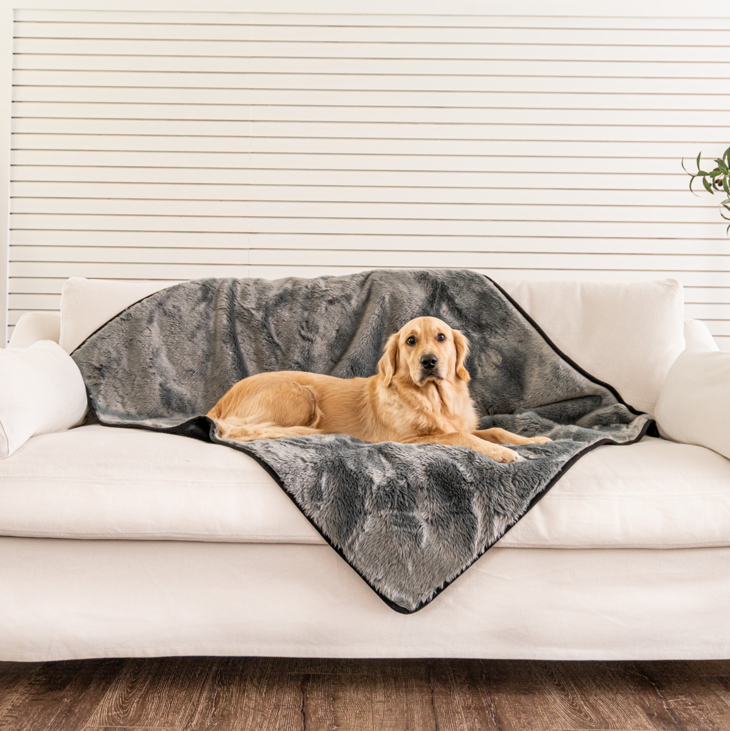 PupProtector™ Summer Short Fur Waterproof Throw Blanket - Charcoal Grey Original (60"L x 50"W) Dog Blanket Paw.com