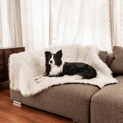 PupProtector™ Waterproof Throw Blanket - Polar White Original (60"L x 50"W) Dog Blanket Paw.com