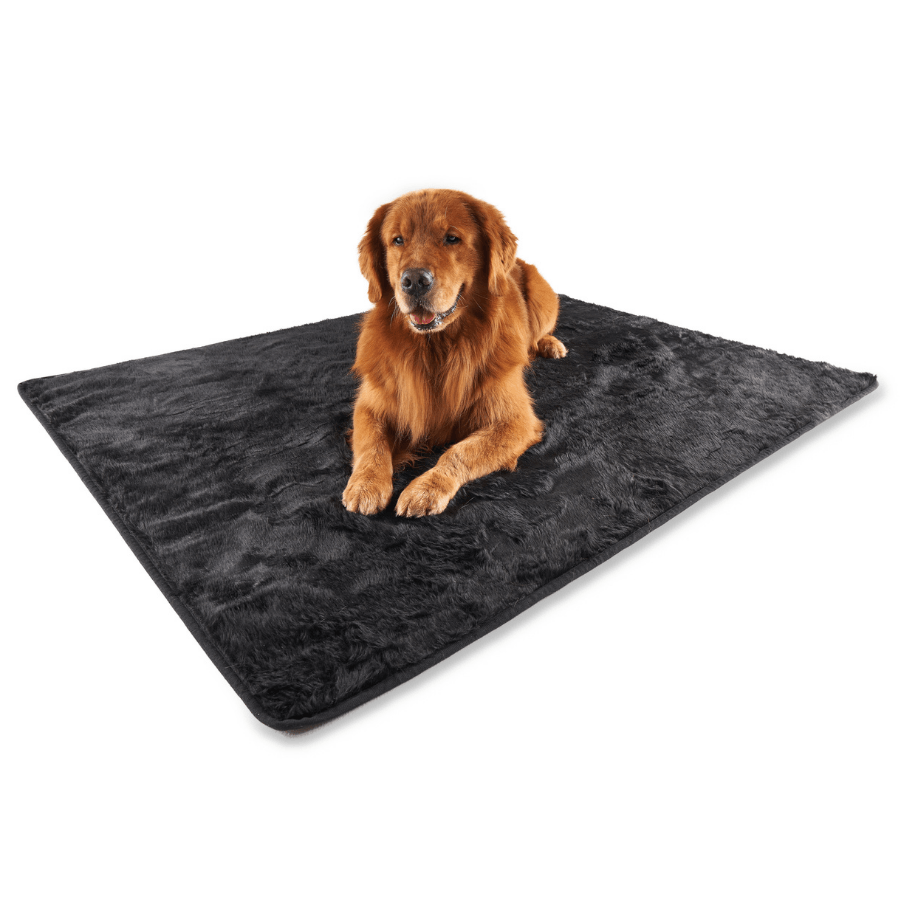 PupProtector™ Summer Short Fur Waterproof Throw Blanket - Midnight Black Dog Blanket Paw.com