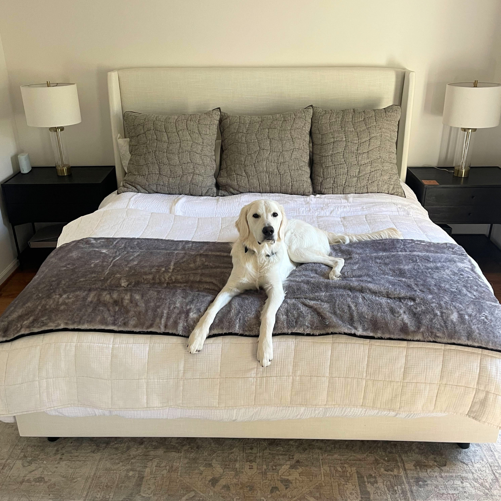 PupProtector™ Luxe Waterproof Bed Runner - Ultra Soft Chinchilla Dog Blanket Paw.com