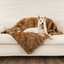 PupProtector™ Waterproof Throw Blanket - Sable Tan Dog Blanket Paw